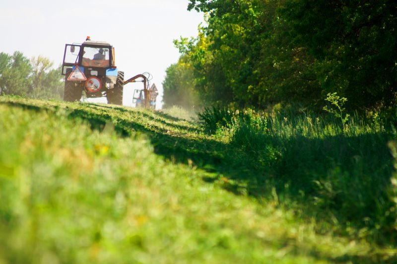 Brush Clearing Service in Atlanta, GA