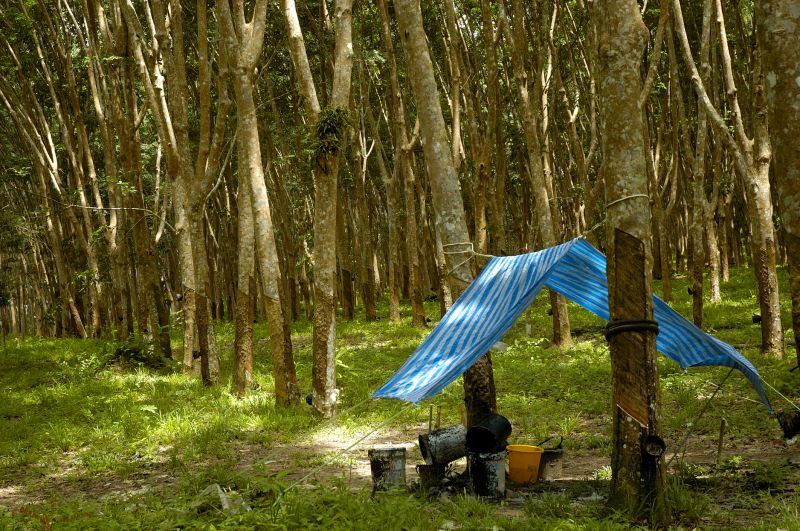 Eco-Friendly Options