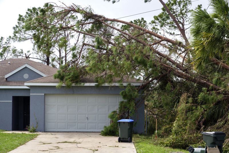 Fallen Tree Removal in Duluth, MN
