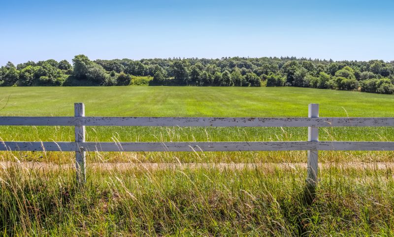 Pasture Clearing in Gwinnett County, GA