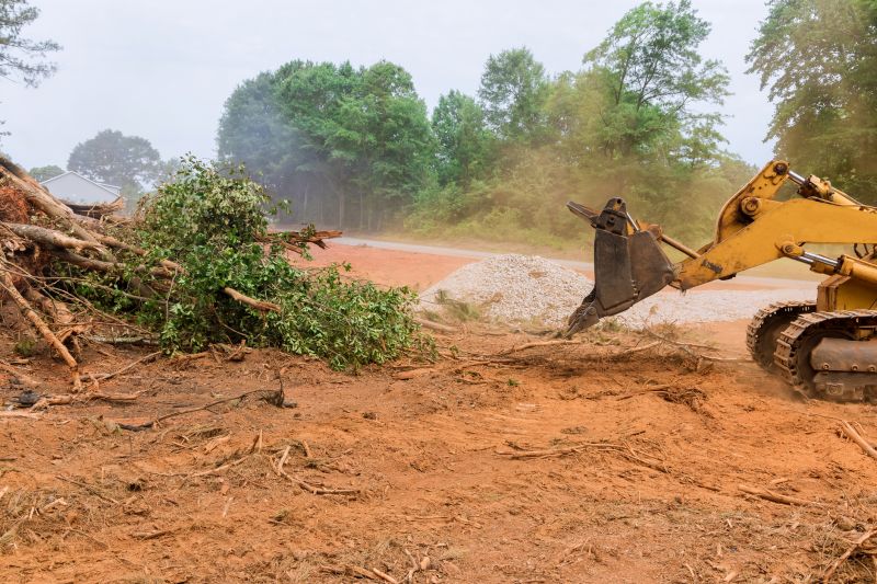 Site Clearing Service in Cumming, GA